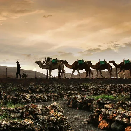 Home2book Stylish Caleta De Caballo, Terrace アパート