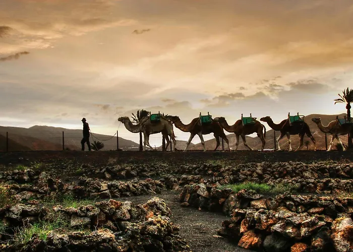 Home2book Stylish Caleta De Caballo, Terrace Apartament